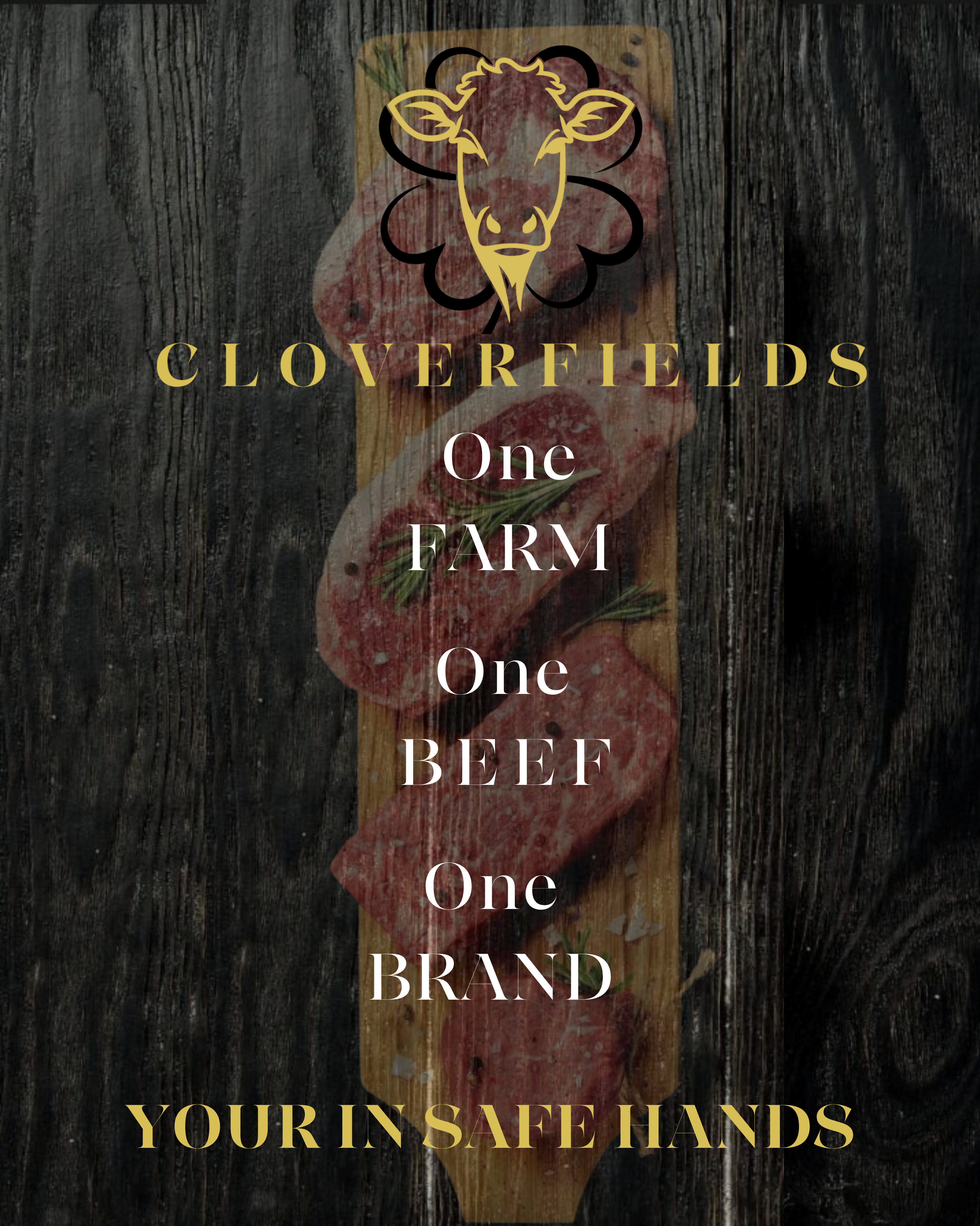 Cloverfields Beef | Premium Welsh Clover-Fed Aberdeen Angus